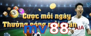 mv88